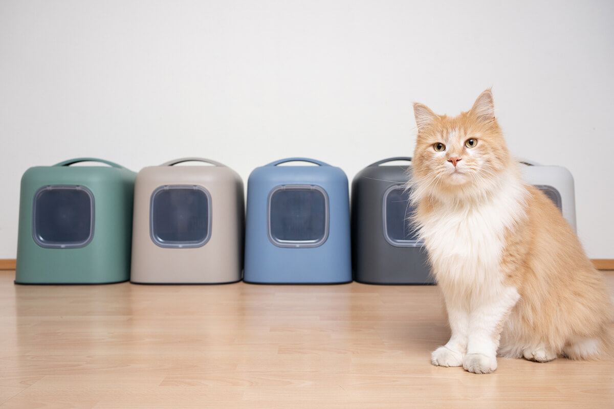 猫の尿石症の症状