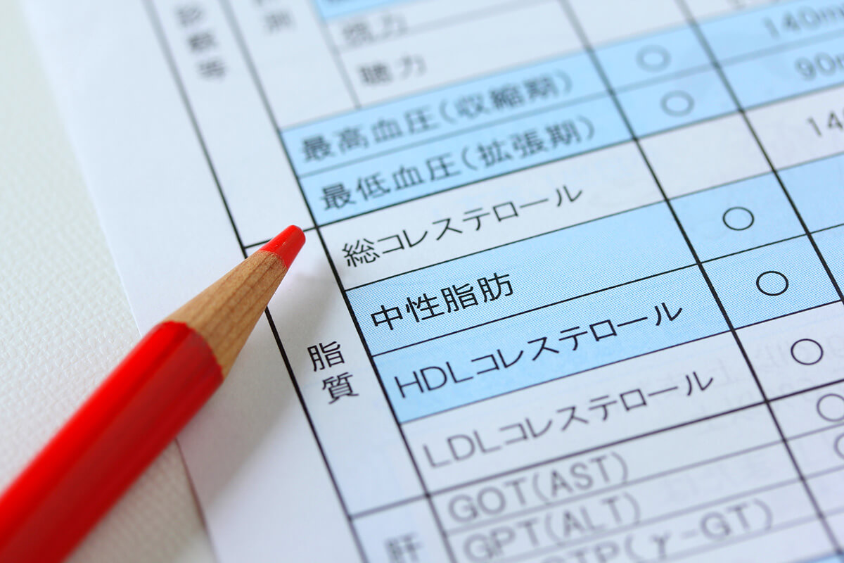 脂質の主な役割